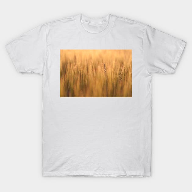 Couch Grass T-Shirt by ansaharju